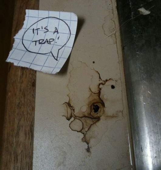 Admiral Ackbar stain