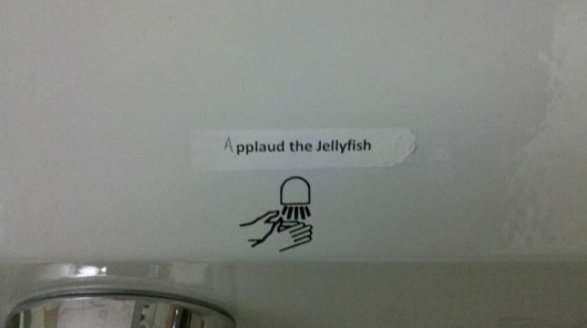 Applaud the jellyfish