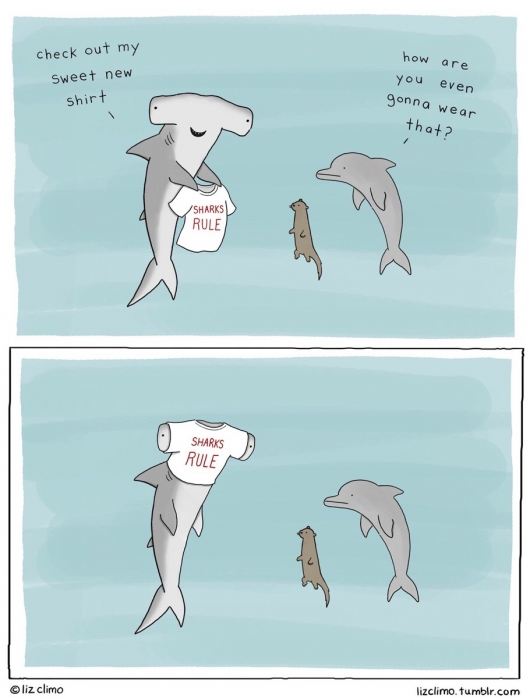 Sharks rule t-shirt