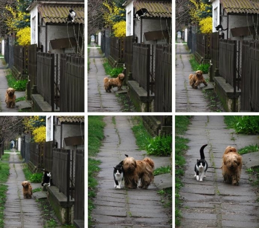 Best friends