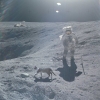 Cat spotted on moon Cat spotted on moon