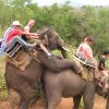 Elephant ride fail Elephant ride fail