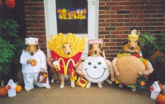 Fast food dogs