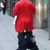 Gangsta pants fail Gangsta pants fail