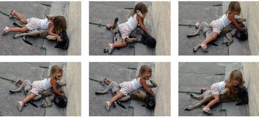 Little girl playing with her dog