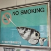 No smoking No smoking