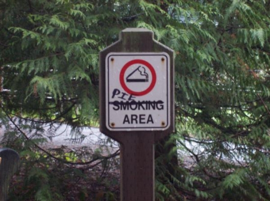 Pie area
