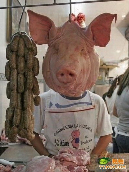 Pig-man is watching you