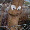 Smiling tree Smiling tree