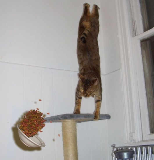 What's going on there?