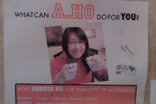 What can A HO do for you?