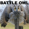 Battle owl Battle owl