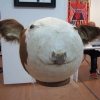 Cow head balloon Cow head balloon