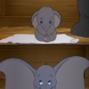 Dumbo's ears