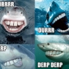 Shark hurrrr durrrr Shark hurrrr durrrr
