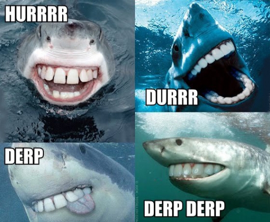 Shark hurrrr durrrr