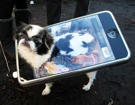 iPhone dog costume