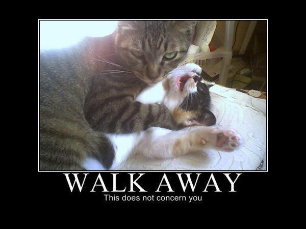 Walk away - Really funny pictures collection on picshag.com