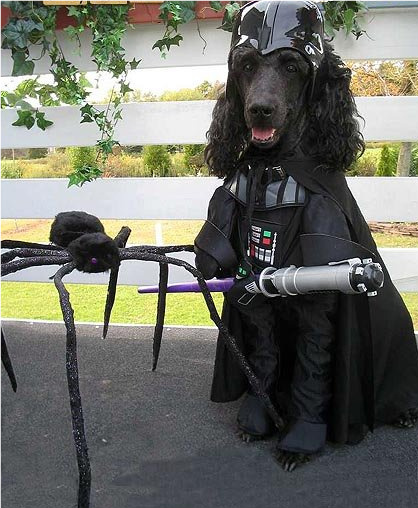 Dog Darth Vader costume
