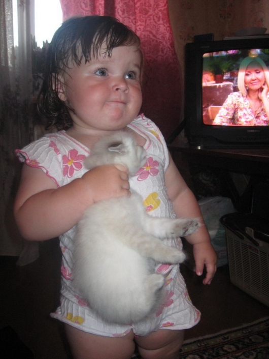 Girl handling kitten
