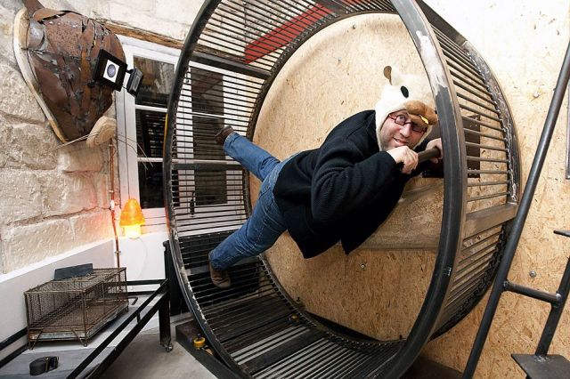 Human hamster - Really funny pictures collection on picshag.com