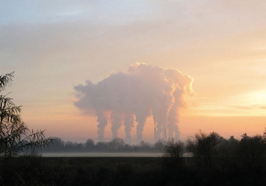 Pig-shaped smoke