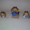 Rock n' Roll frogs Rock n' Roll frogs