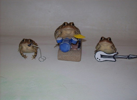 Rock n' Roll frogs
