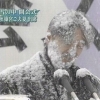 Snowy news conference