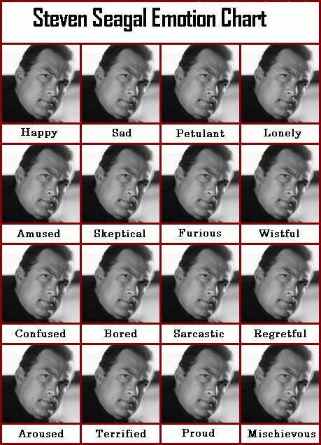 Steven Seagal emotion chart