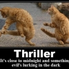 Thriller cats