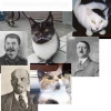 Dictator cats