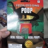 Fosilized dino poop