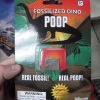 Fosilized dino poop Fosilized dino poop