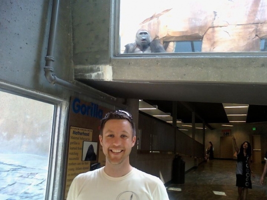 Gorilla photobomb