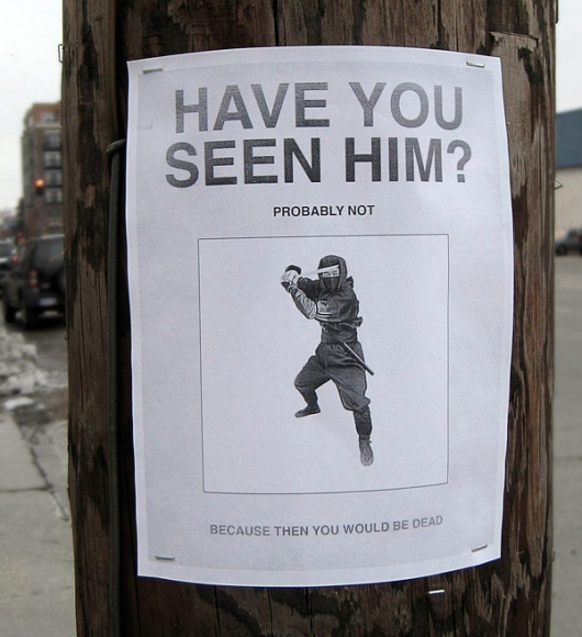 Have you seen him?