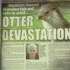 Otter devastation Otter devastation