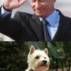 Putin waves everybody Putin waves everybody