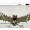 Bat dog