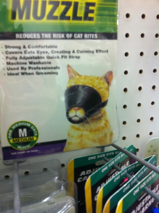 Cat muzzle