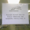 Greyhound window sign Greyhound window sign