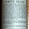 Purple death
