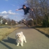 Skateboarder walks the dog