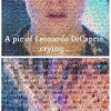 A pic of Leonardo Di Caprio crying A pic of Leonardo Di Caprio crying